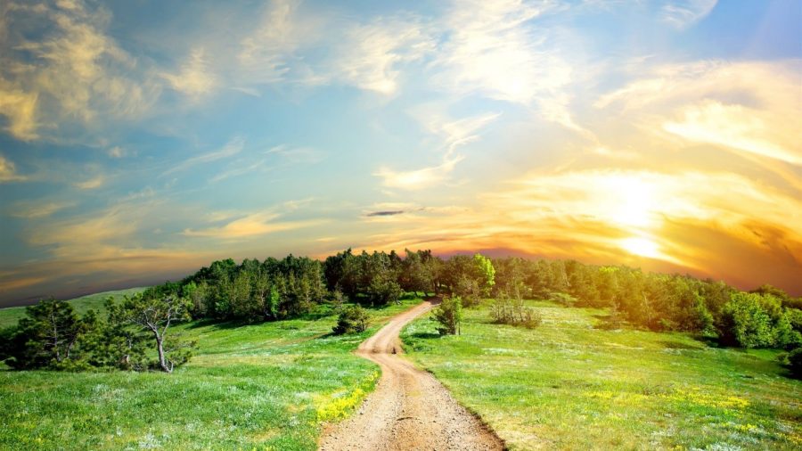 greenroad-beautiful-landscape