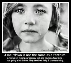 meltdown vs tantrum